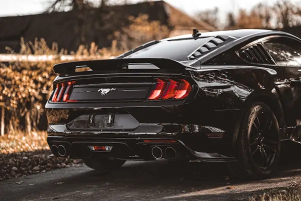 קזינו רויאל ואלי אפליקציית Android/iOS